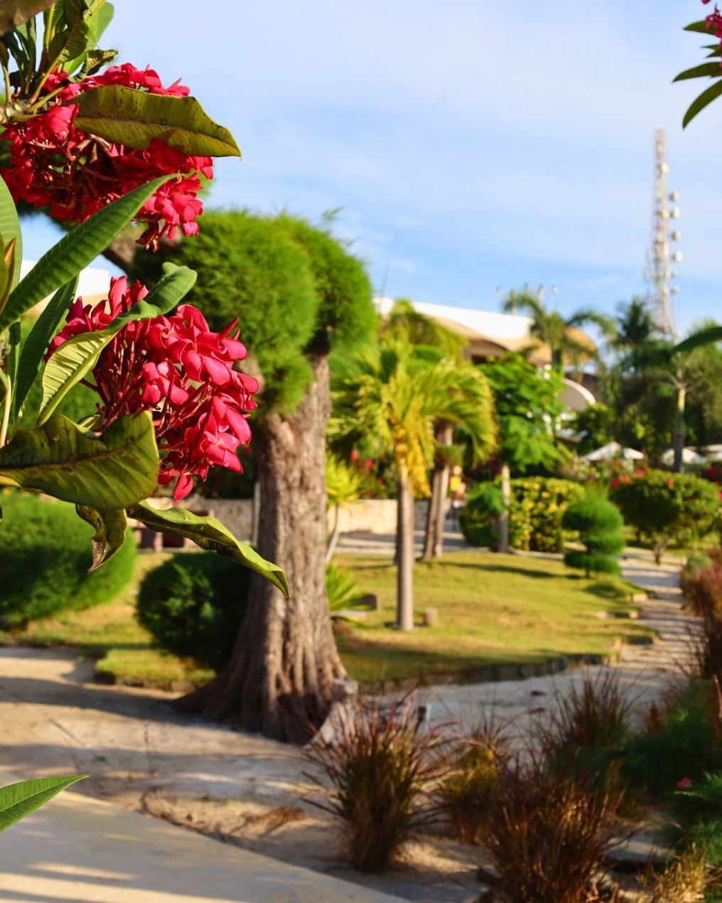 Pearl of Trawangan Venue photo