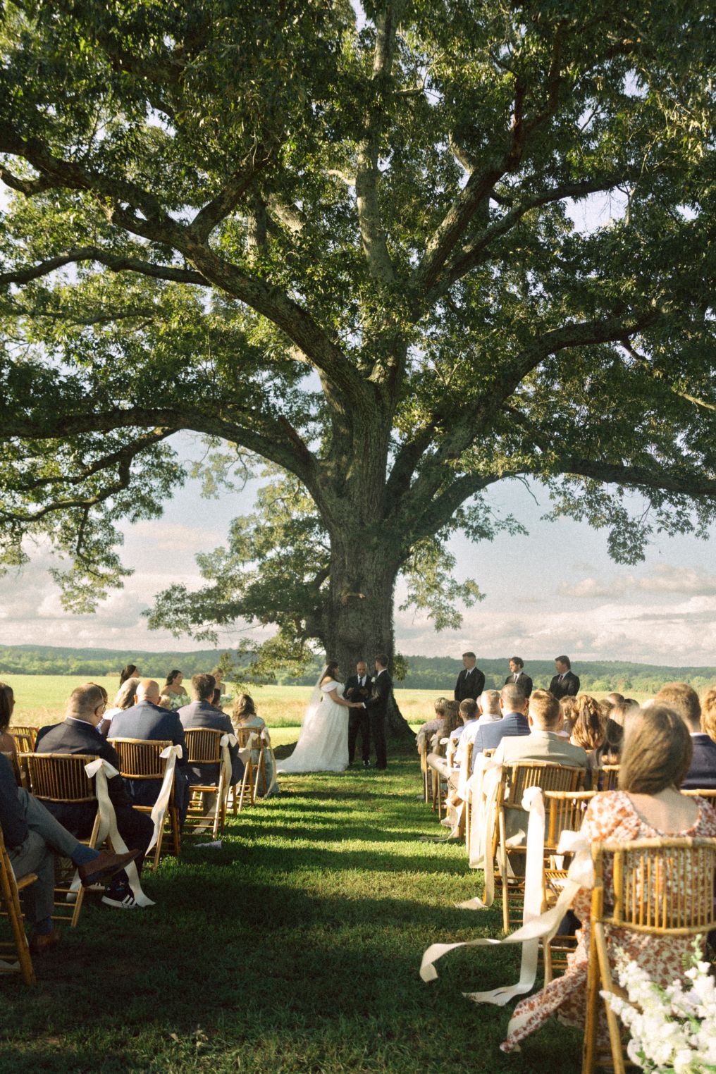 Detring Photography Photographer photo