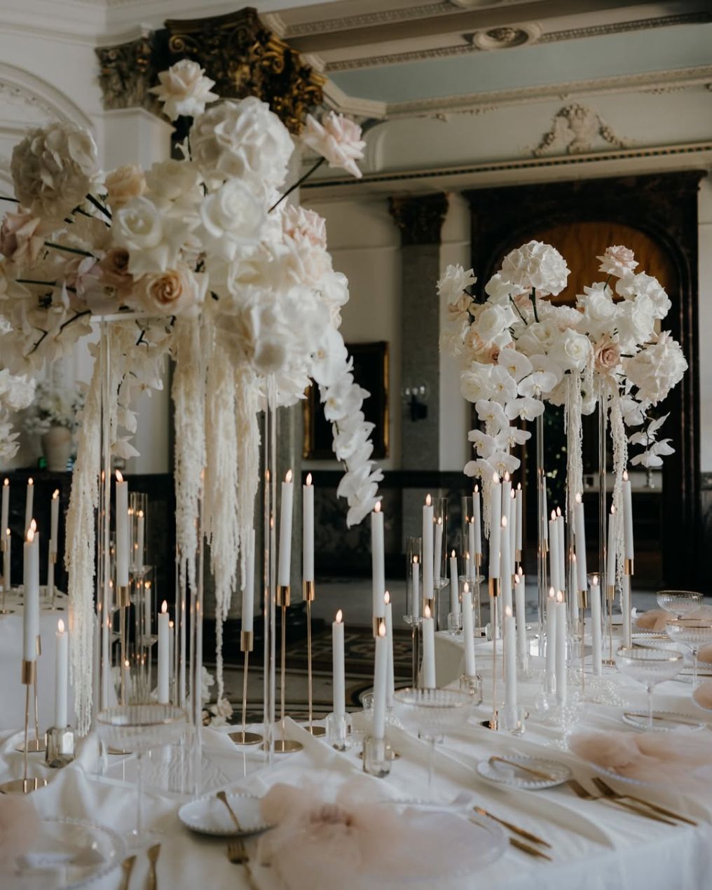 Carol Ventriglia Photographer photo