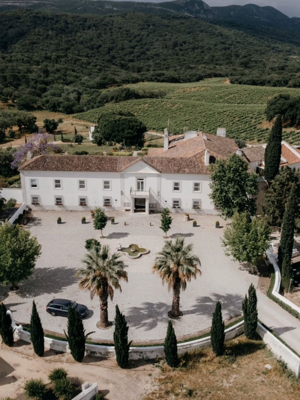 Carol Ventriglia Photographer photo