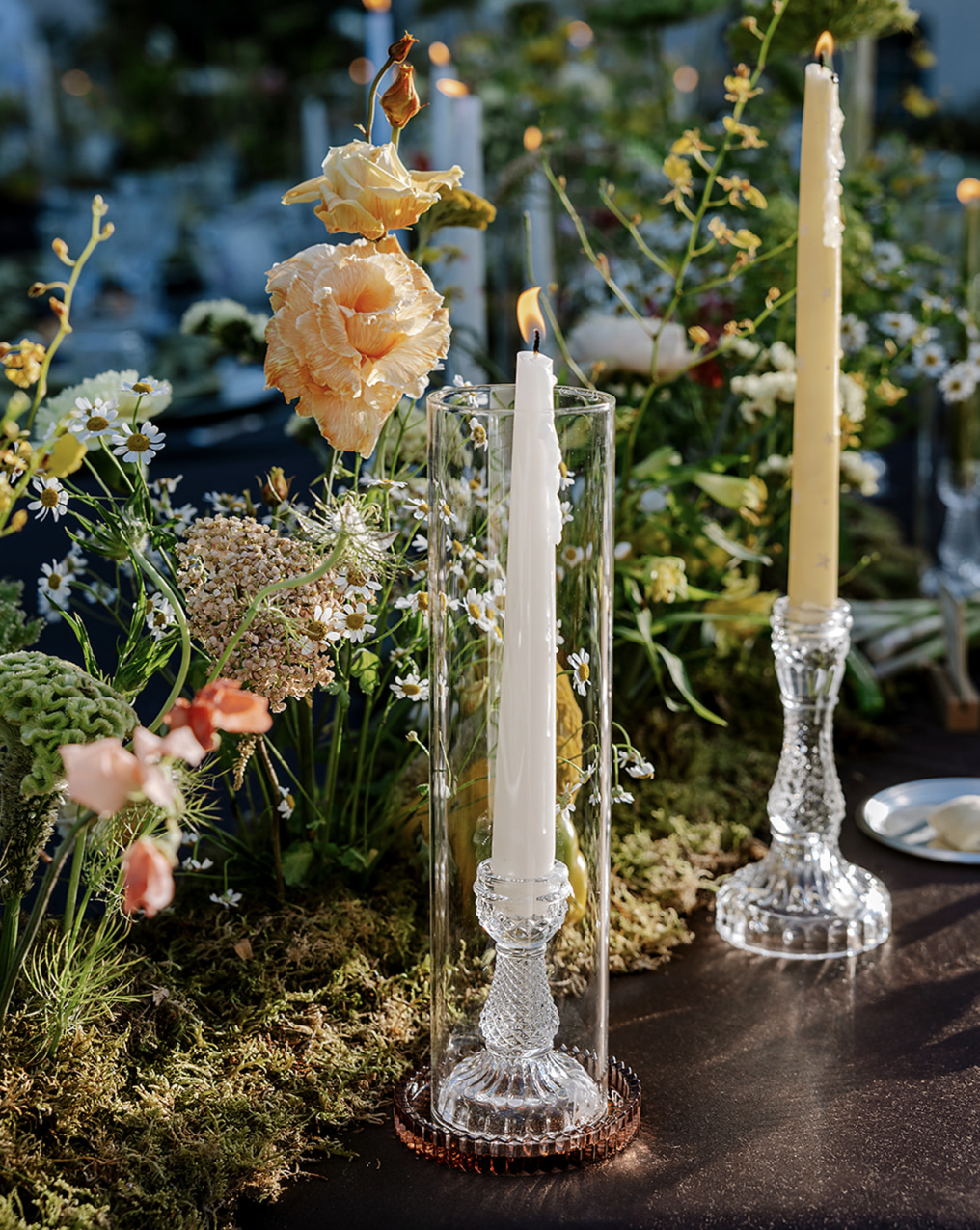 Bluemilia Planner photo