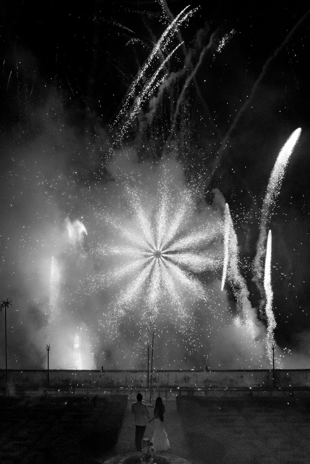 Lisa Poggi Studio Photographer photo