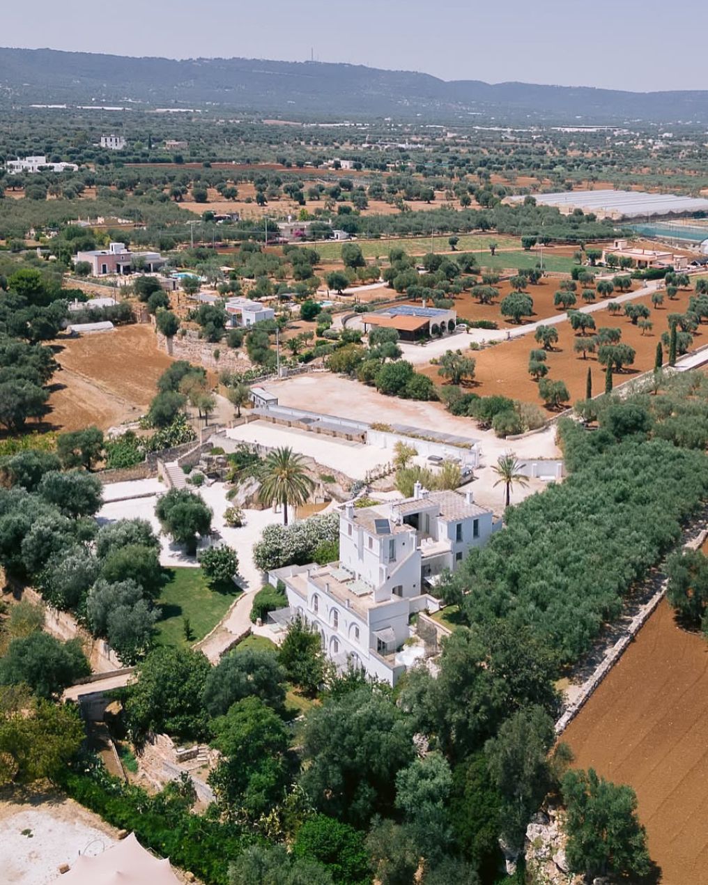 Masseria Alchimia