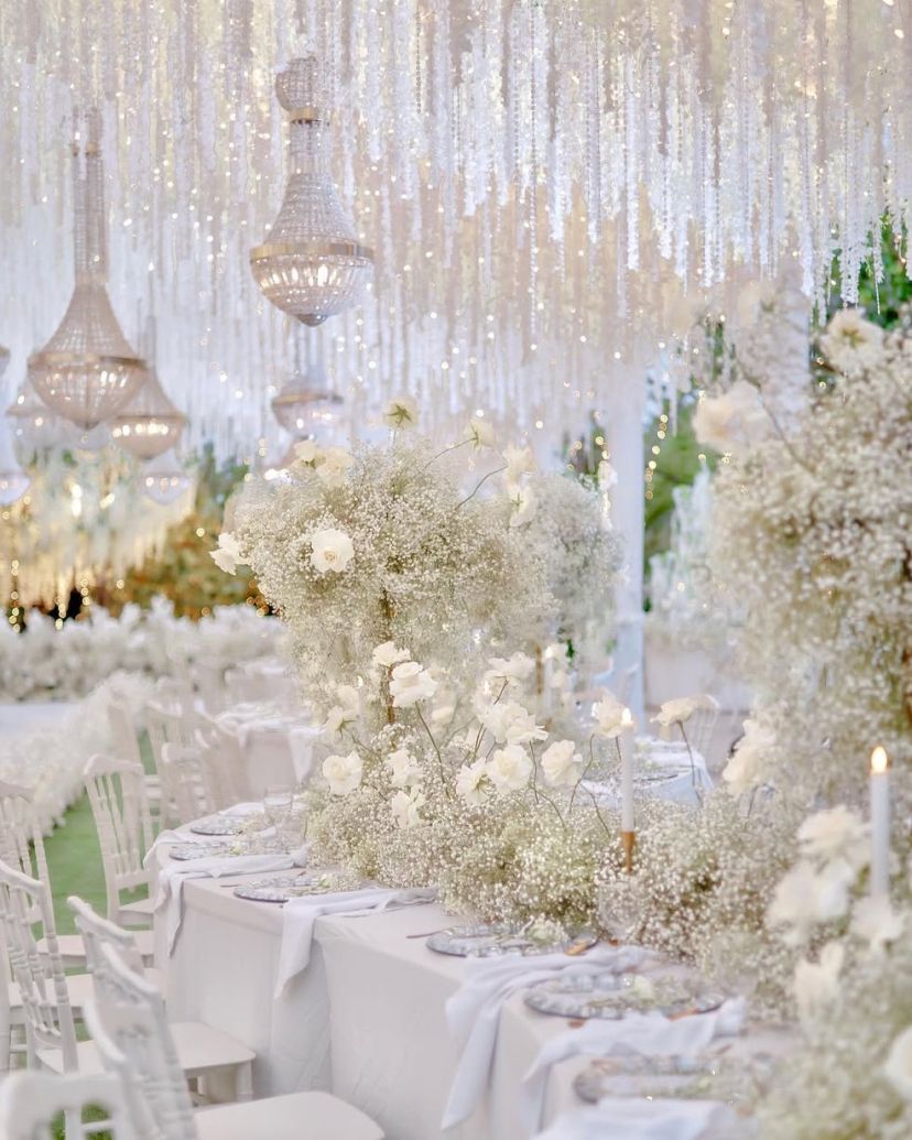 Gobig Maldives Private Limited Planner