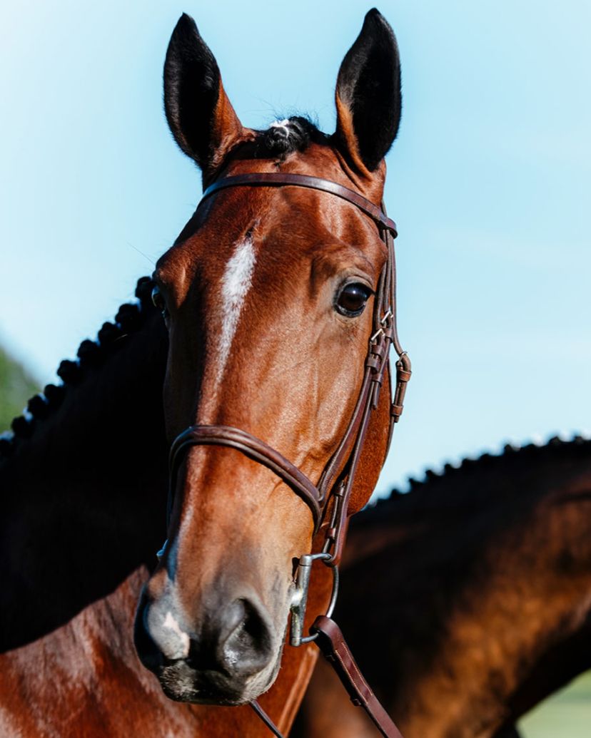 Hassan Hadad Photographer