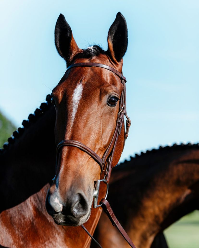 Hassan Hadad Photographer