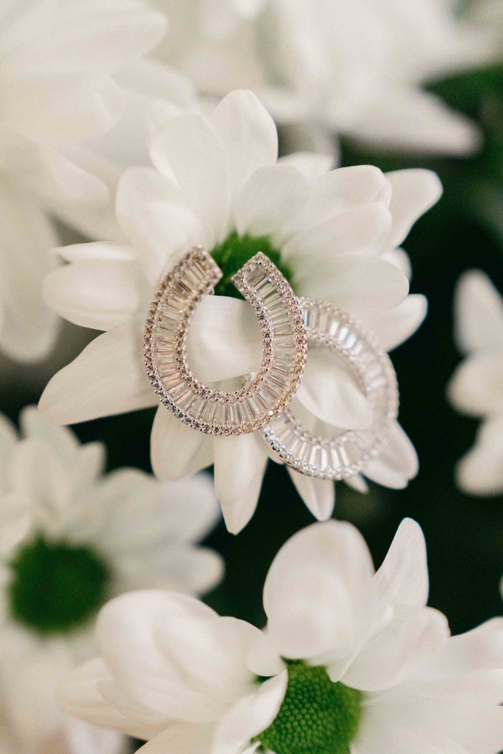 Punto Rosso Photo&Film Photographer photo