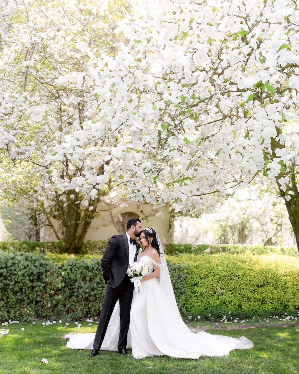 Beshoy Selim Photographer photo