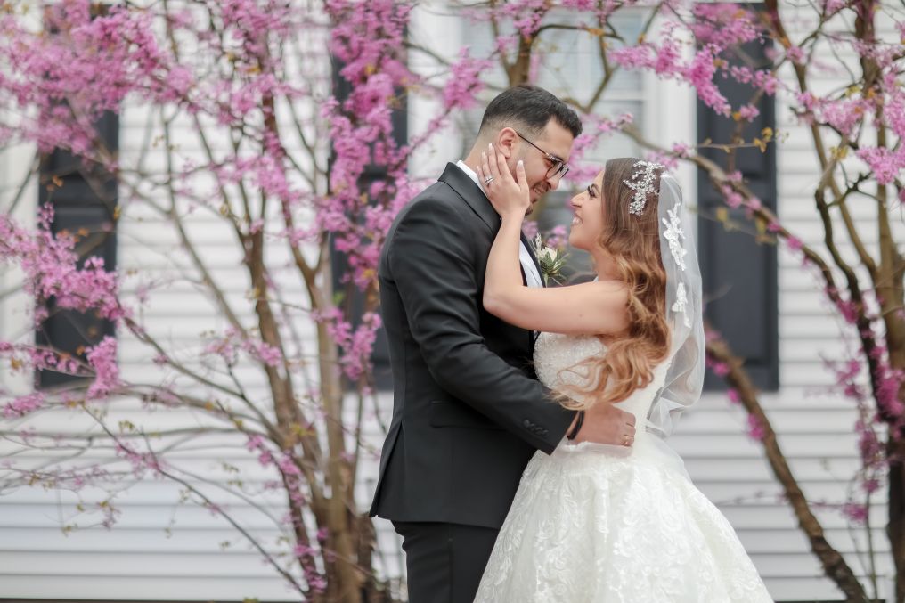 Beshoy Selim Photographer photo