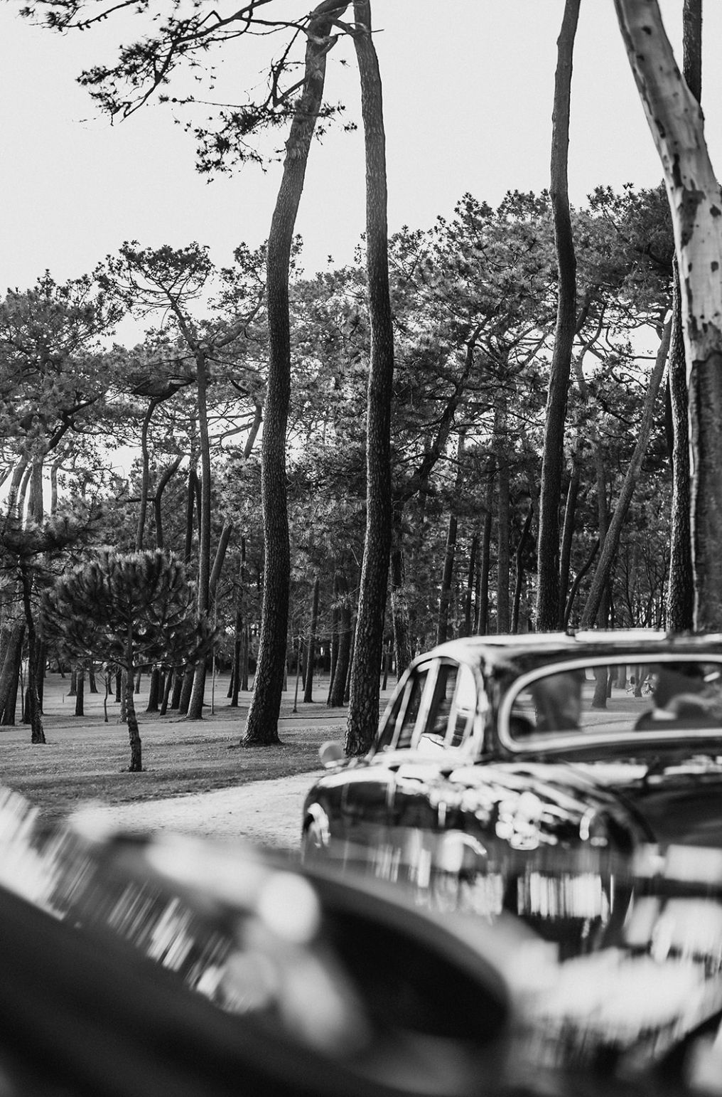 GALERIA STUDIO Photographer photo