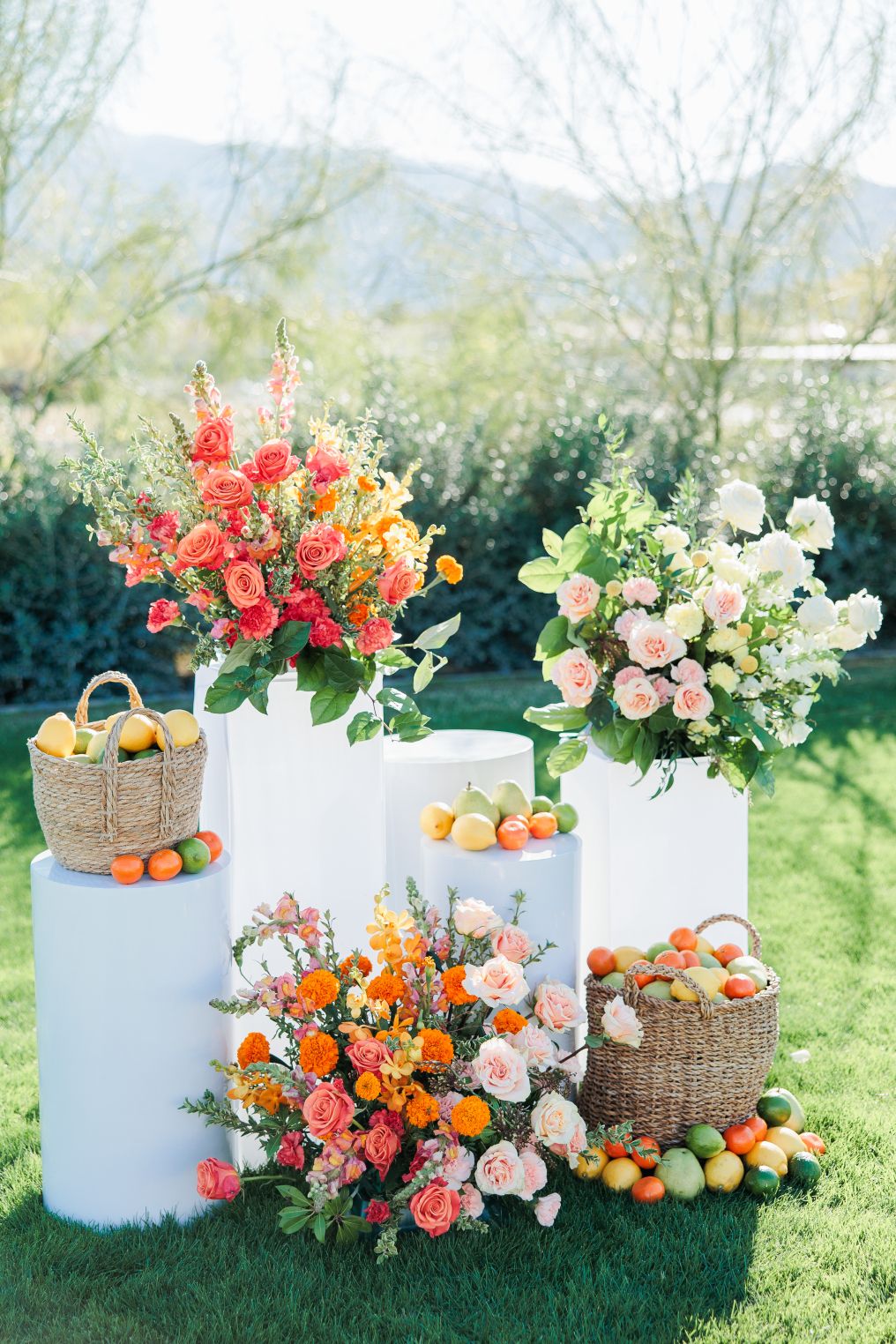 Aubrey Rae Photographer photo