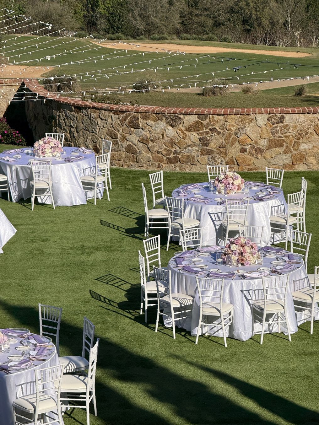 Case Creative Co. Content Creator photo