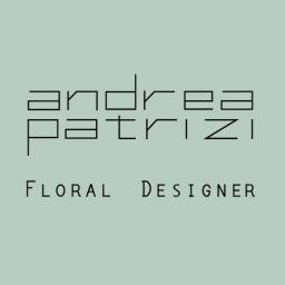 Andrea Patrizi