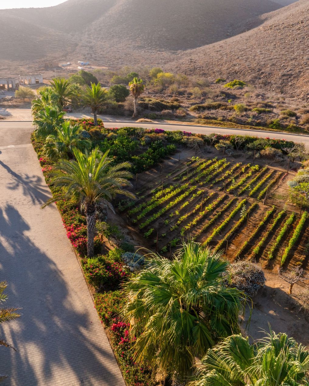 Hotel San Cristóbal Venue photo