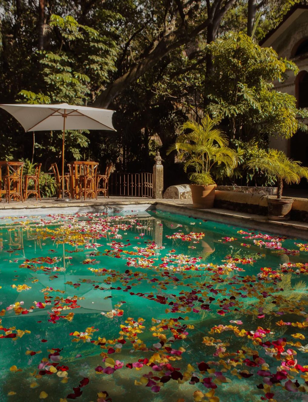 Hacienda San Gabriel de las Palmas