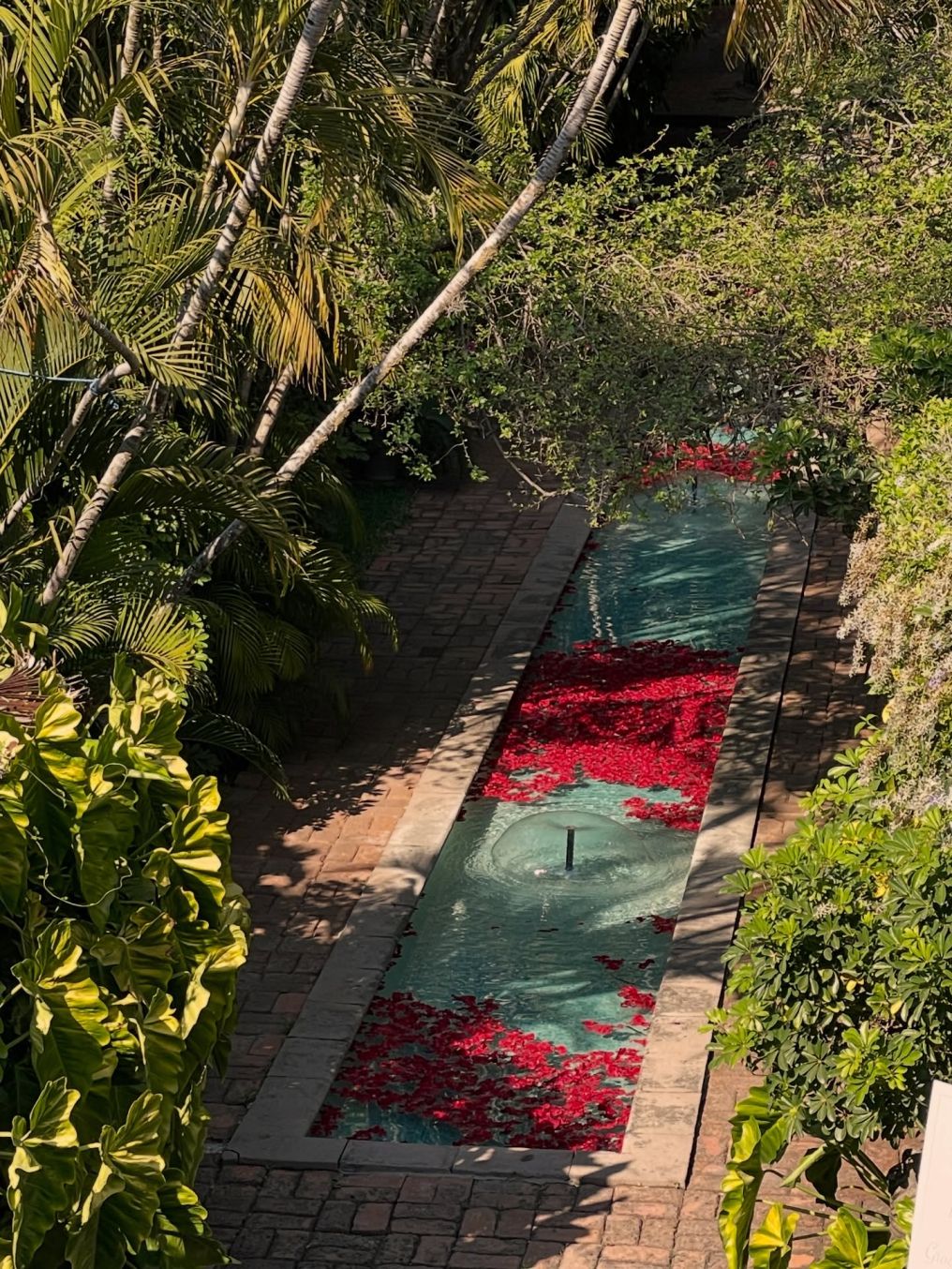 Hacienda San Gabriel de las Palmas