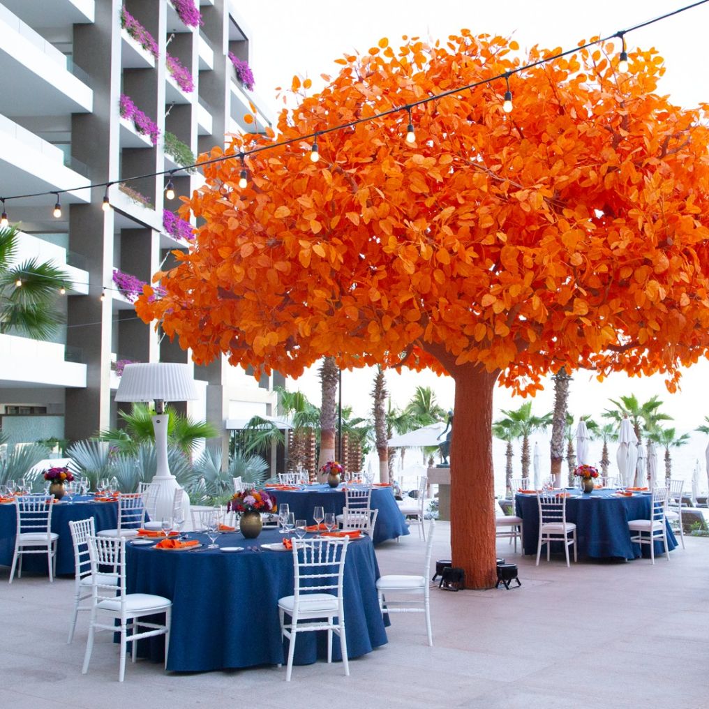 Garza Blanca Los Cabos Venue photo
