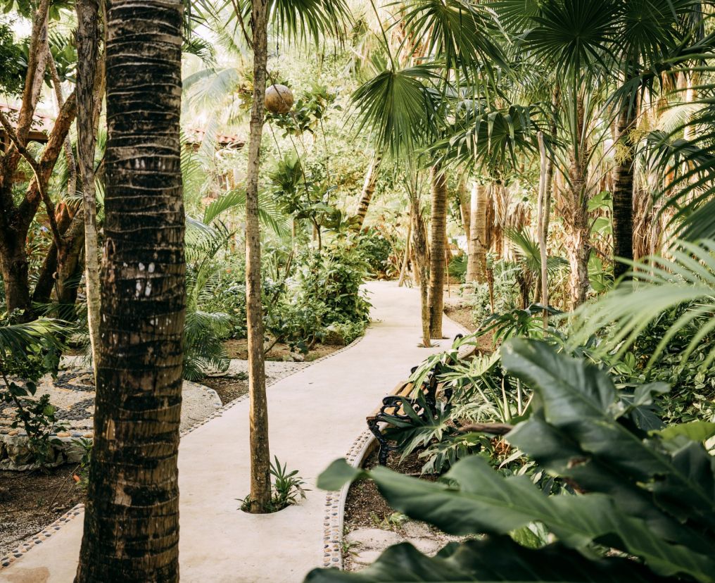 Petit Lafitte Hotel Venue photo