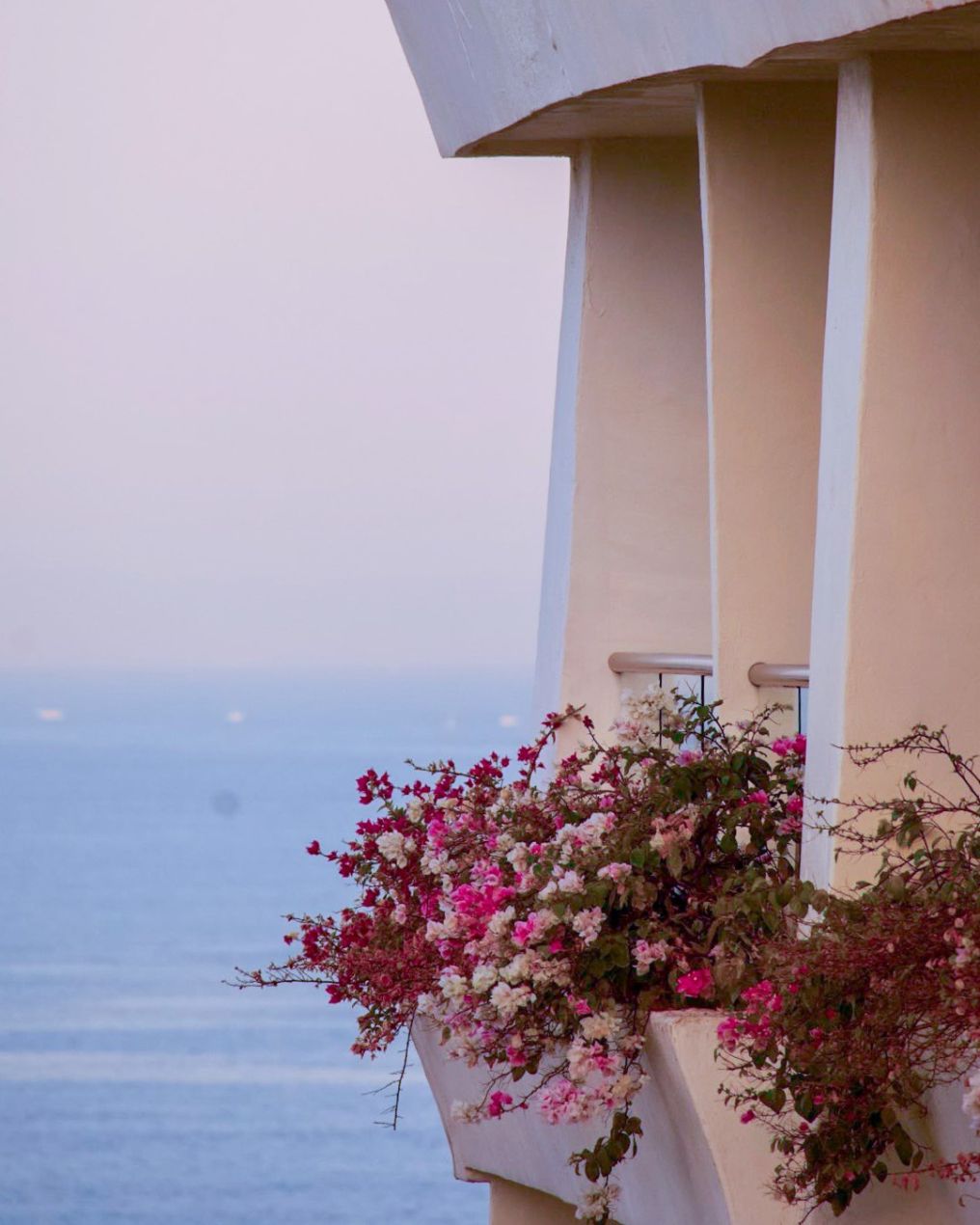 Fiesta Americana Puerto Vallarta Venue photo