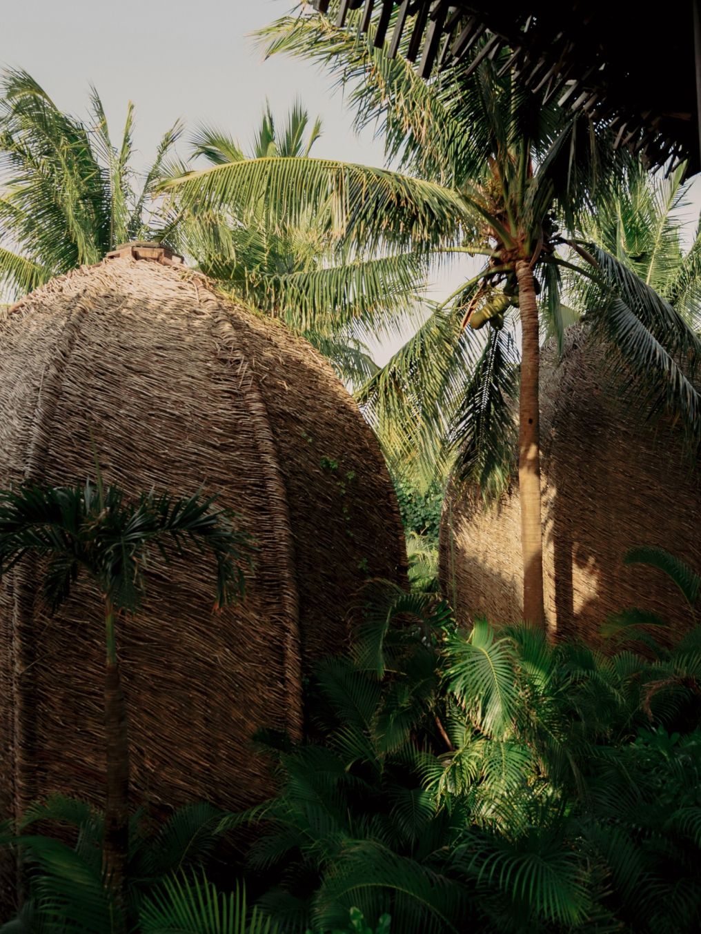 Nômade Temple Holbox Venue photo
