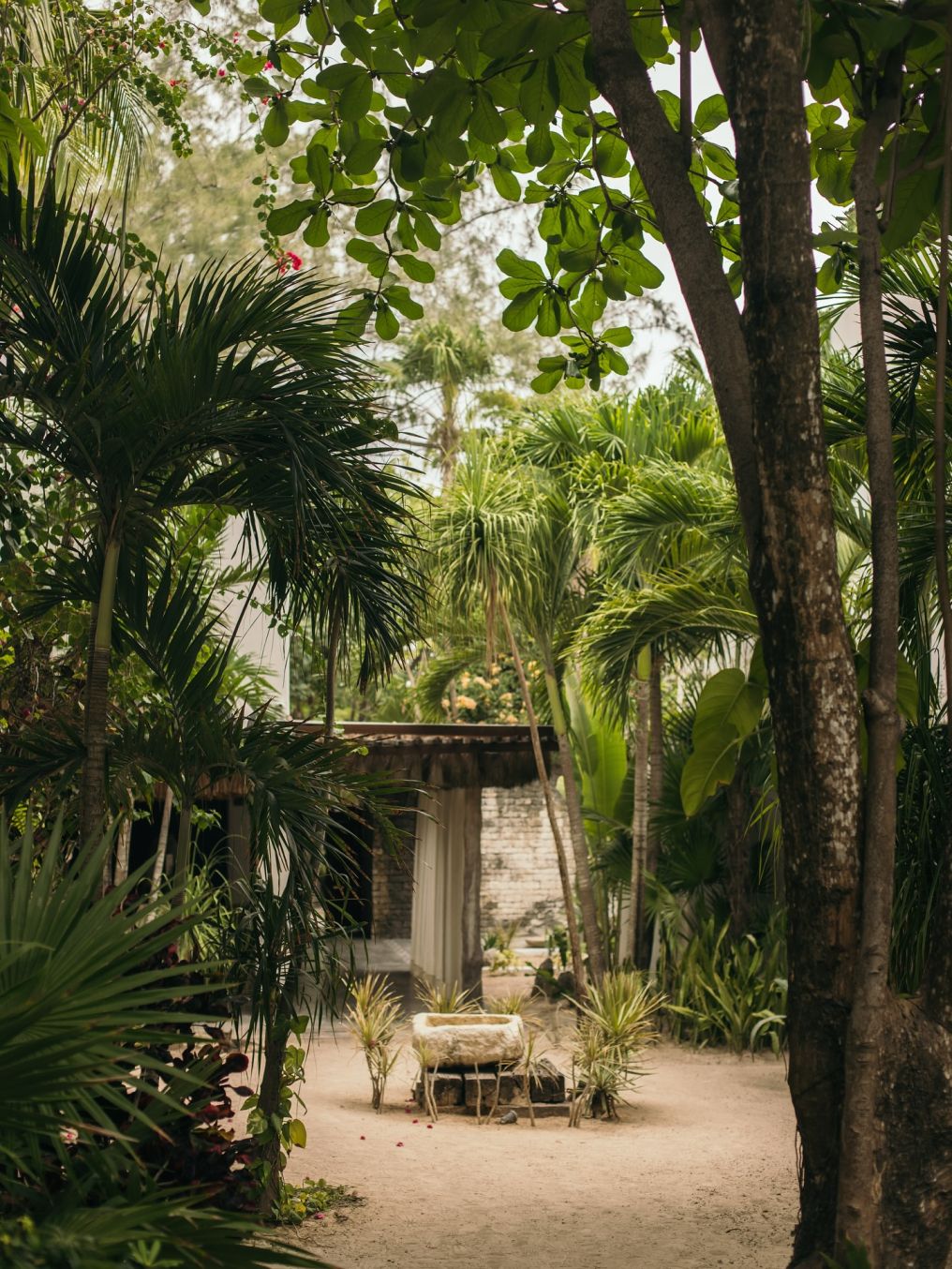 Chiringuito Tulum Venue photo