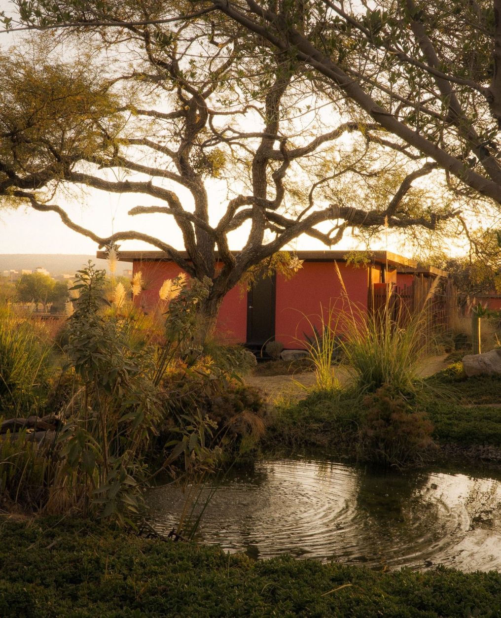 Our Habitas | San Miguel de Allende Venue photo