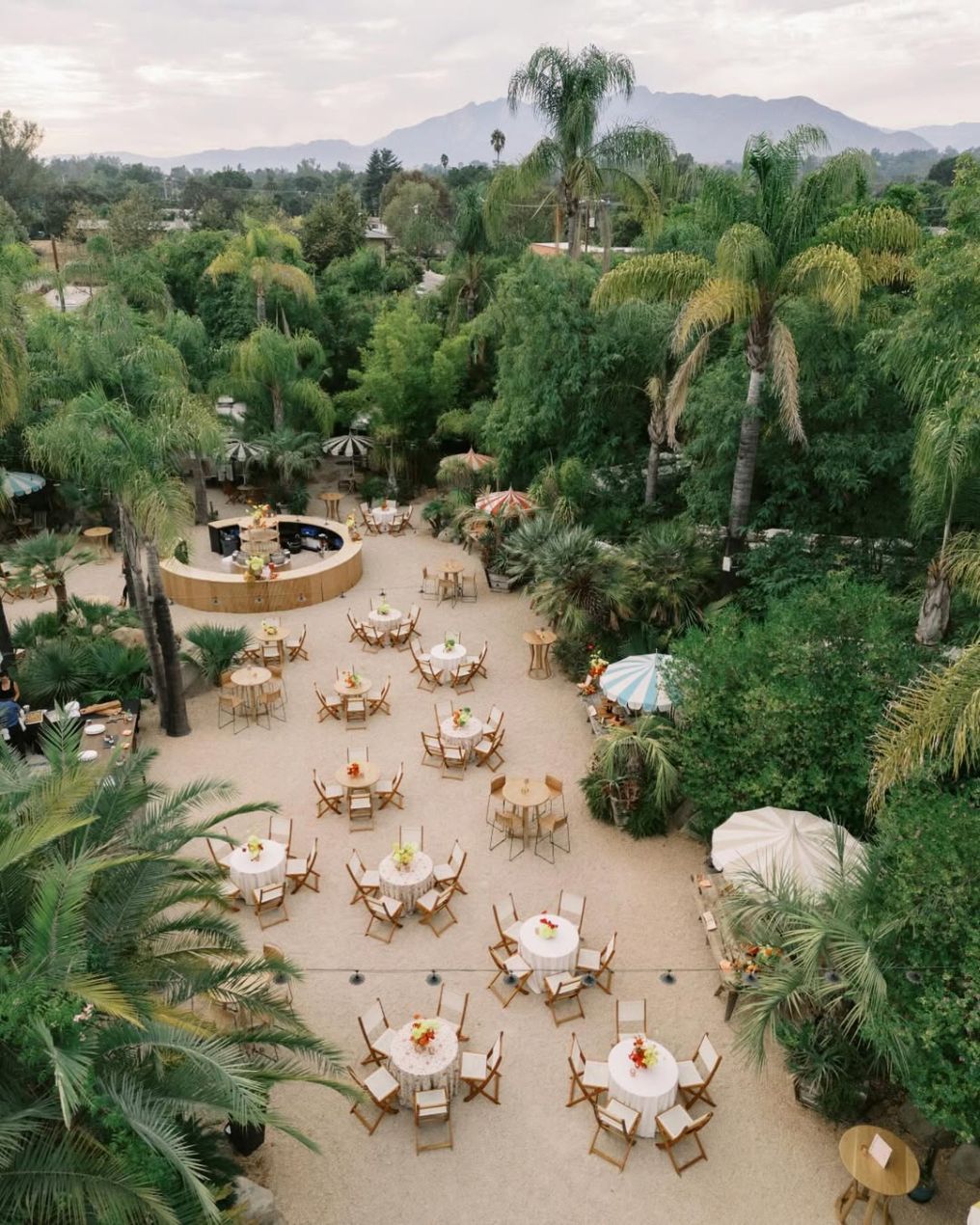 Will Reid Photographer photo