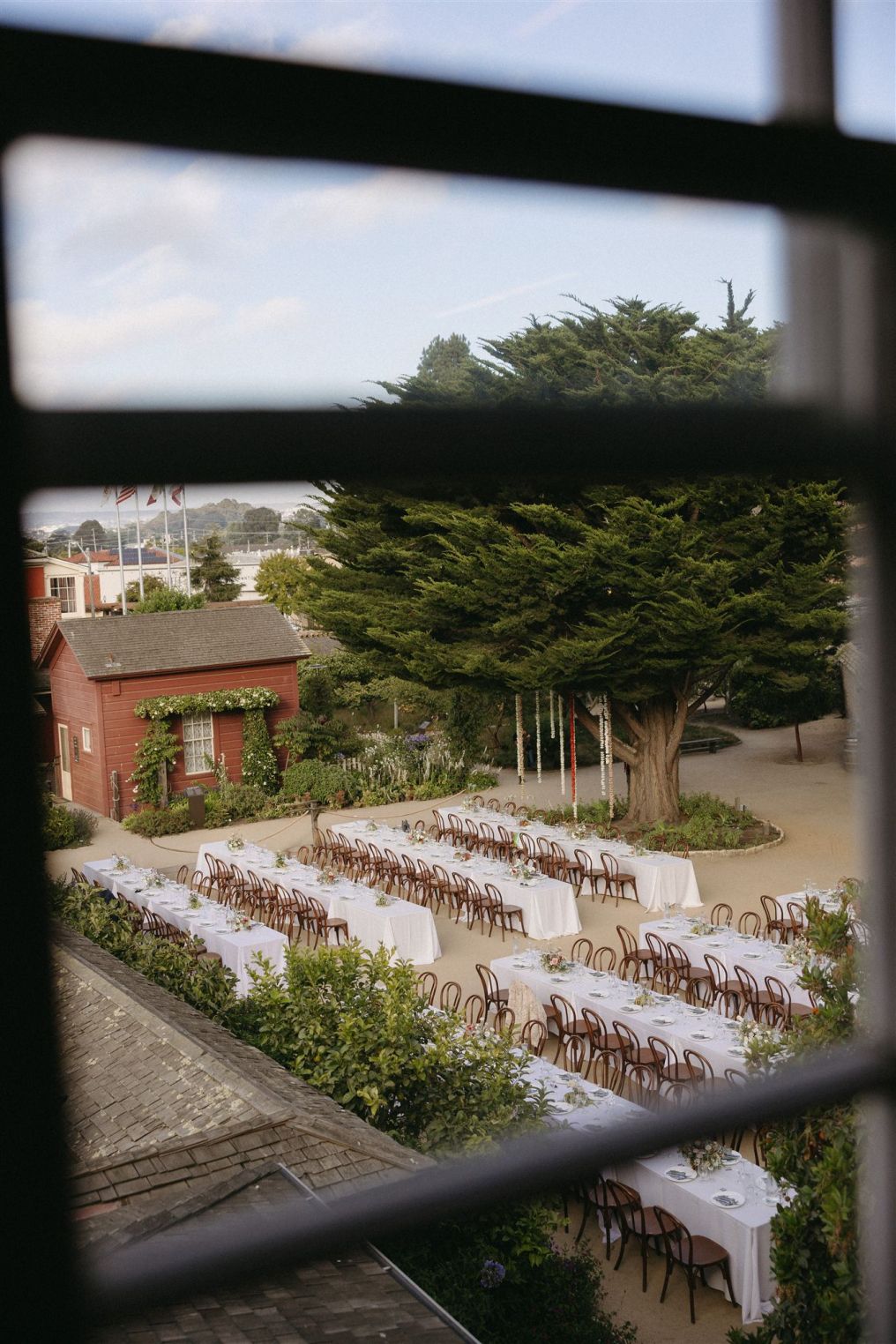 Tessa Shannon Photographer photo