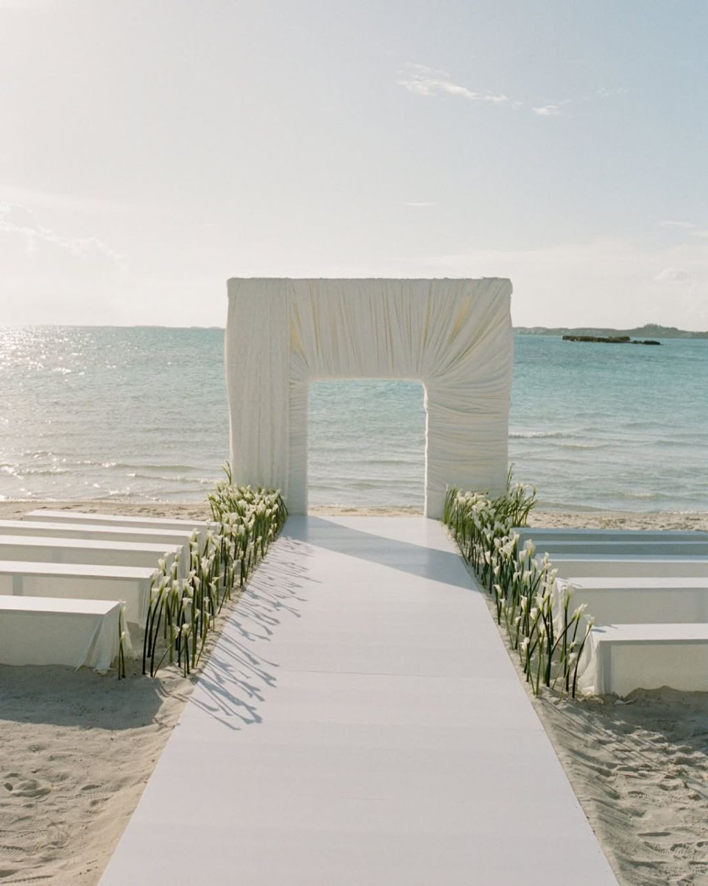 Nicole Plett Photographer photo