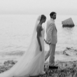 Centorose e un tulipano