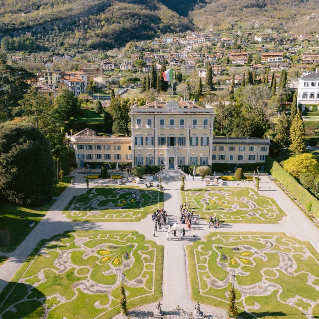 Centorose e un tulipano Planner photo