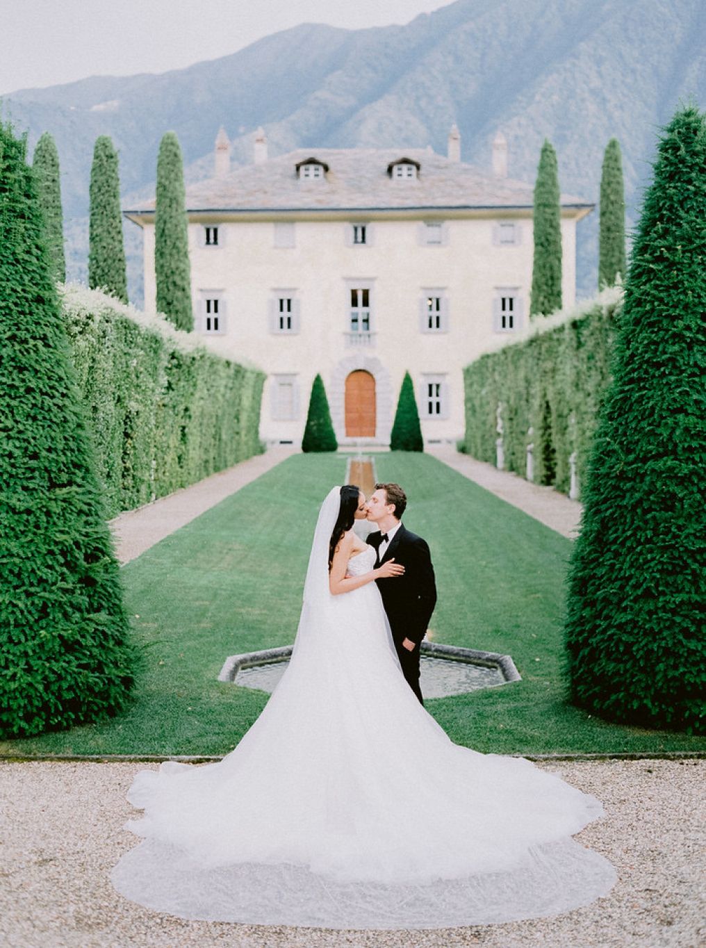 Centorose e un tulipano