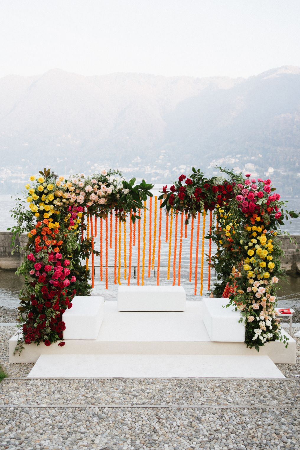 Centorose e un tulipano