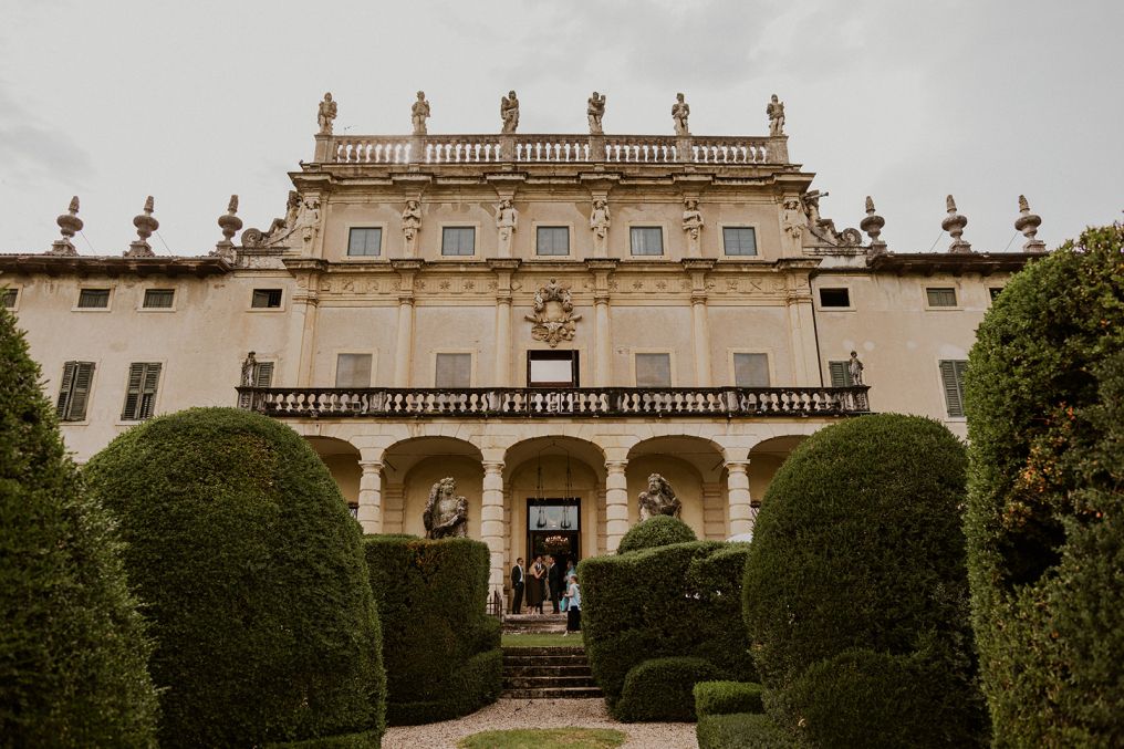 Centorose e un tulipano