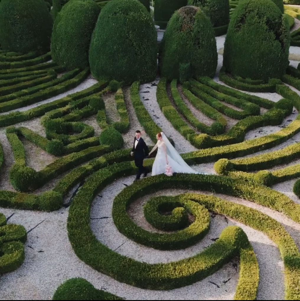 Centorose e un tulipano