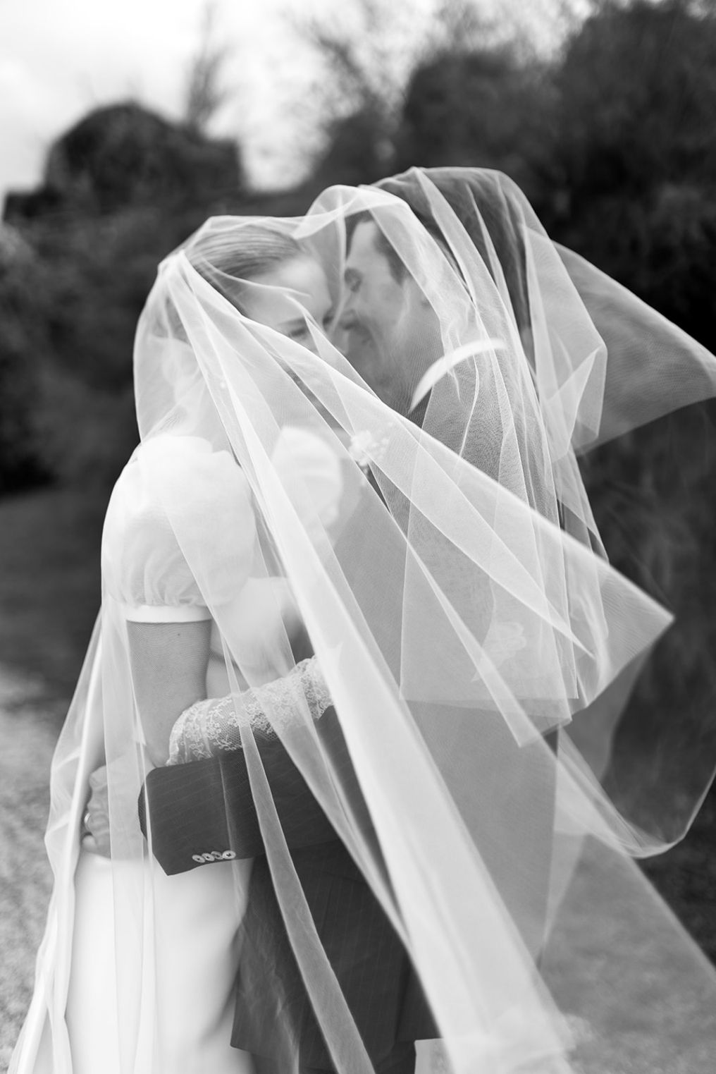 Centorose e un tulipano