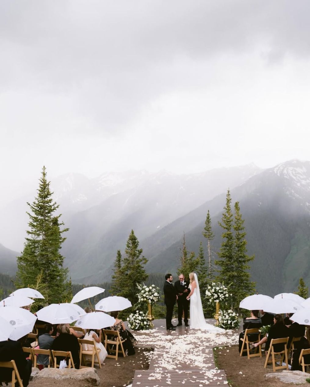 Stargazed Weddings and Events