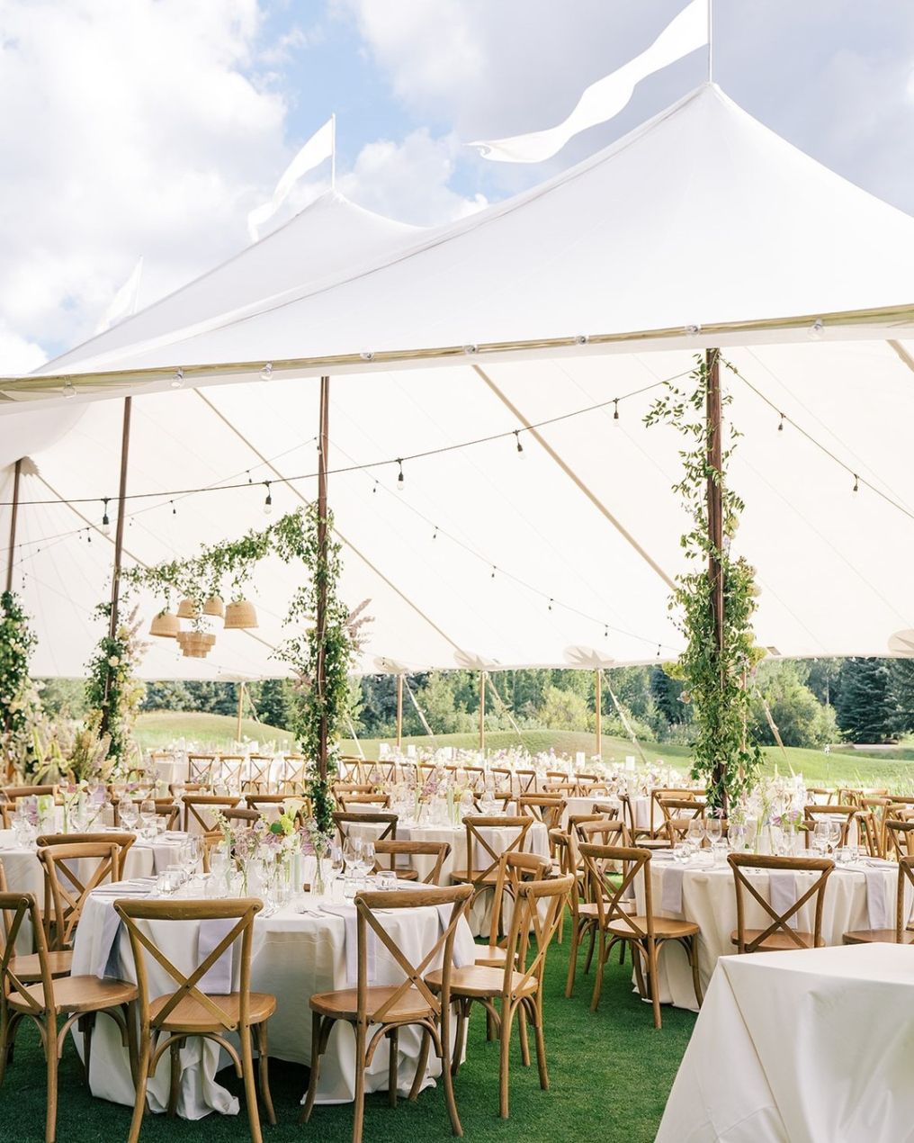 Stargazed Weddings and Events Planner photo