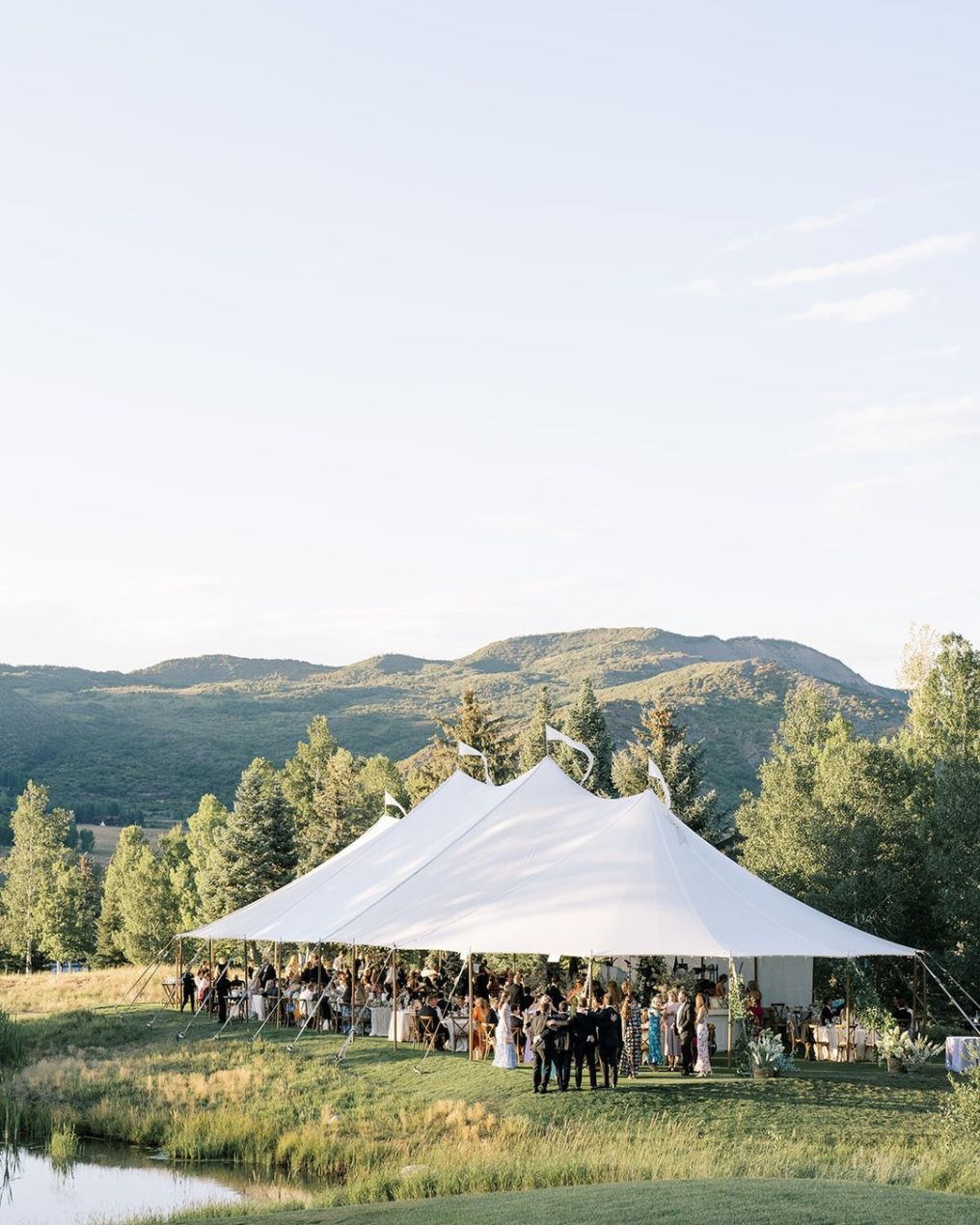 Stargazed Weddings and Events