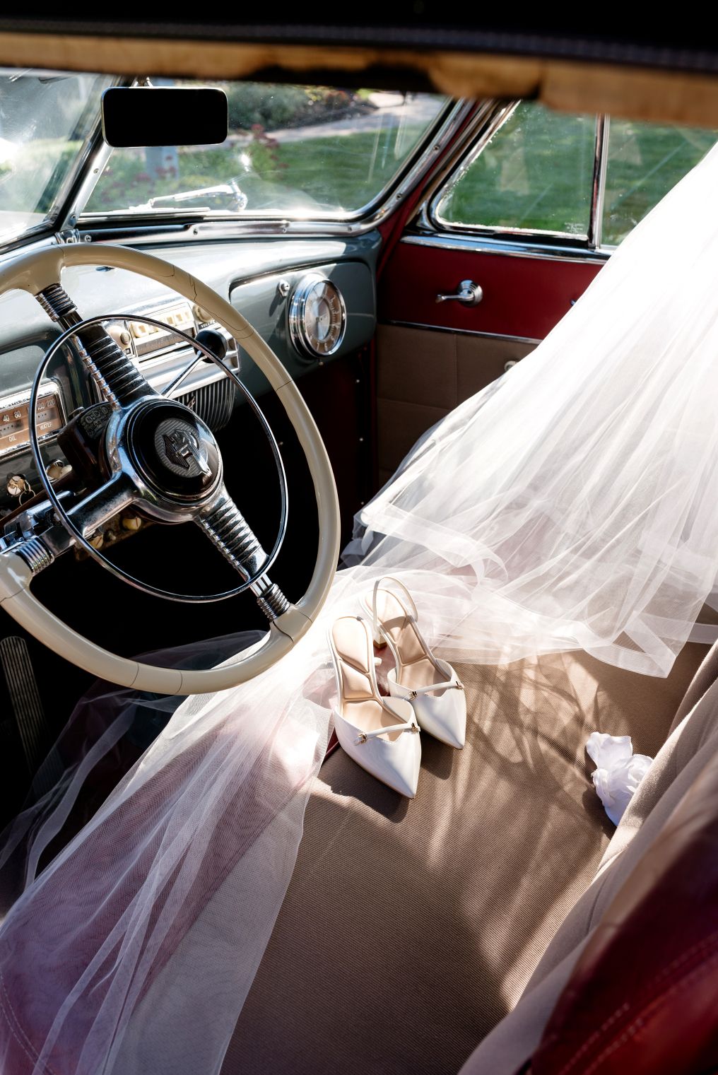 Light and Roses Photographer photo