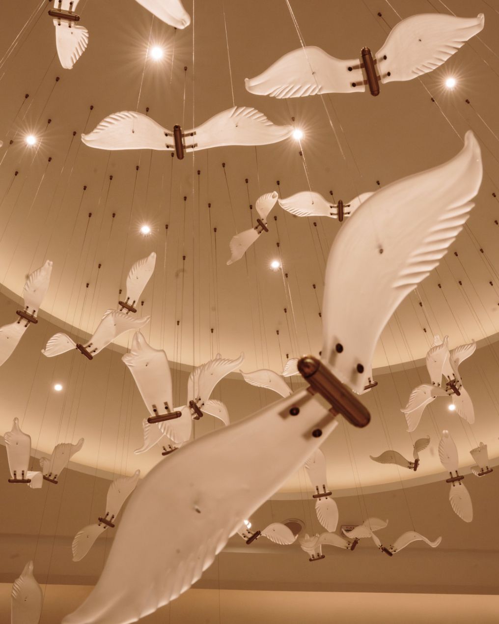 Jumeirah Gulf of Bahrain Venue photo