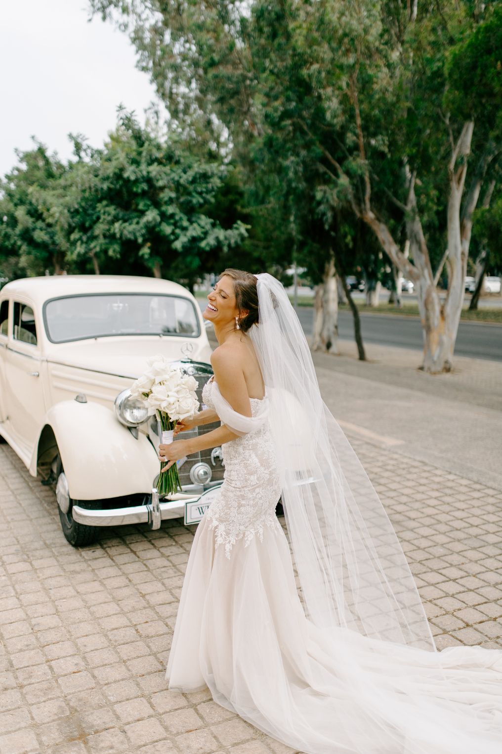 Anestis Papakonstantinou Photographer photo