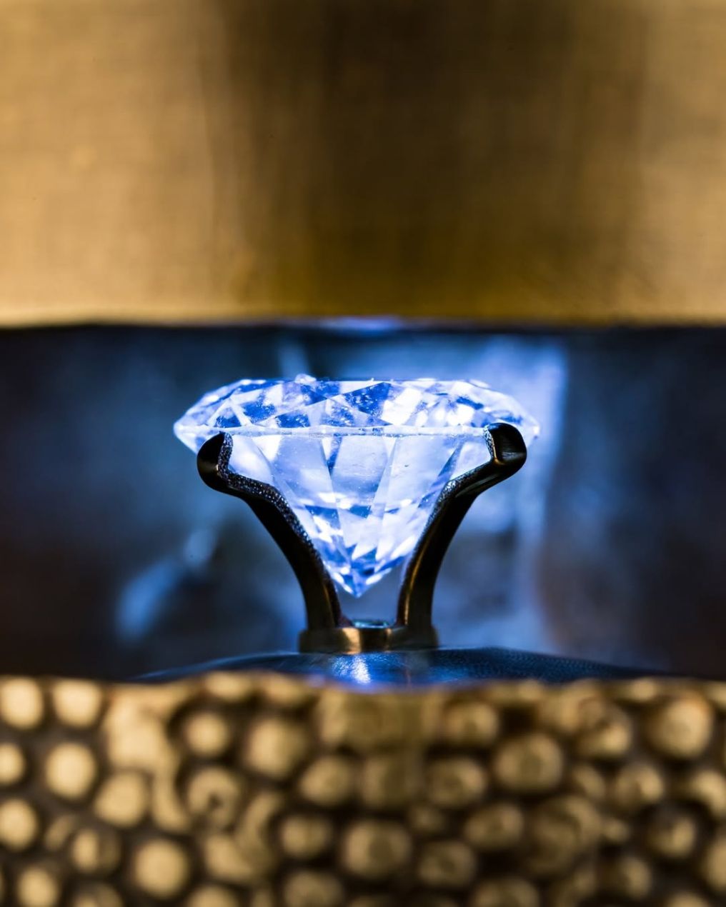 NotForAll DiamondsChampagne Caterer photo