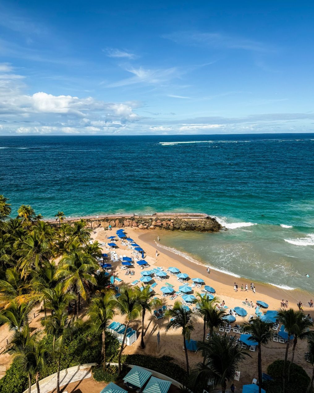 La Concha Resort Venue photo