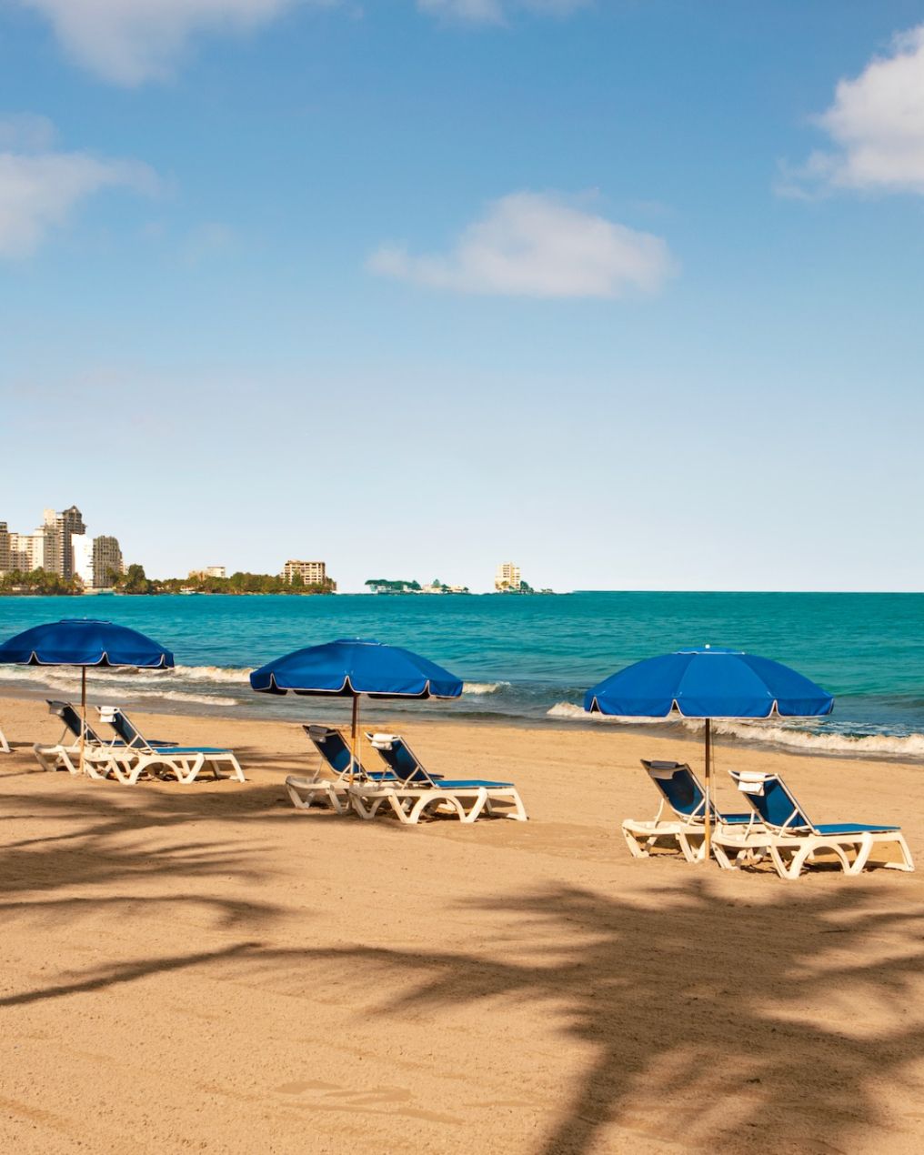 The Royal Sonesta San Juan Venue photo