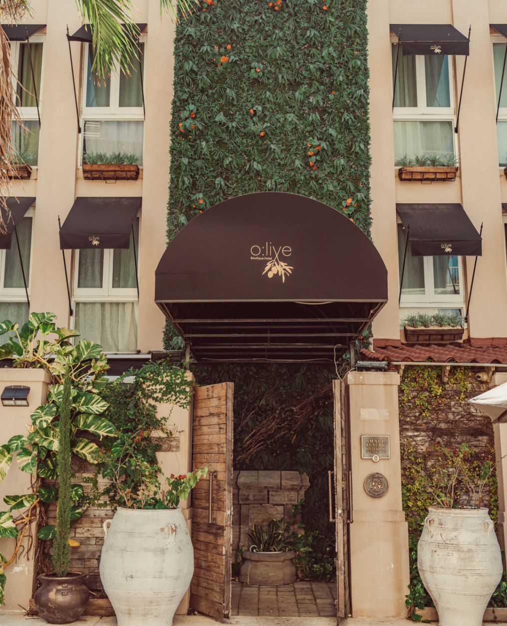 O:live Boutique Hotel Venue photo