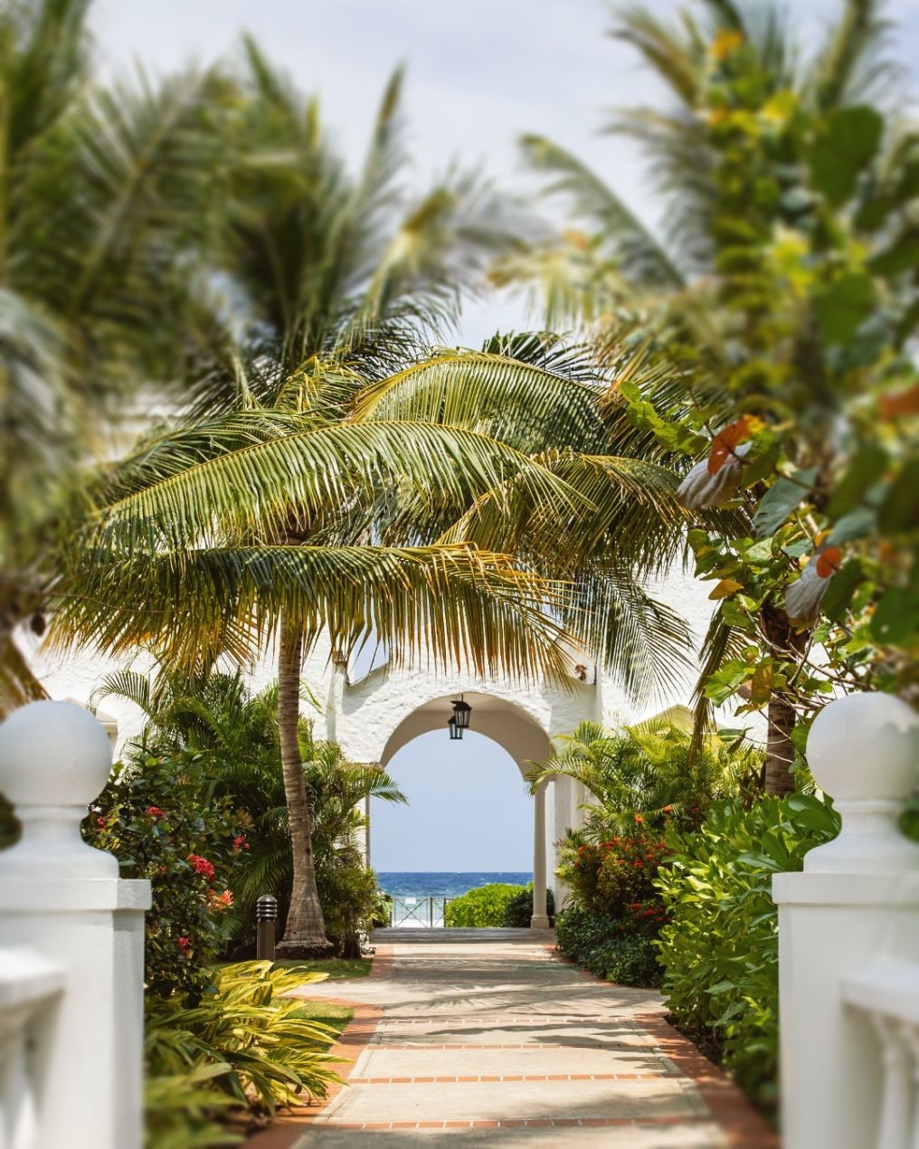 Half Moon Venue photo