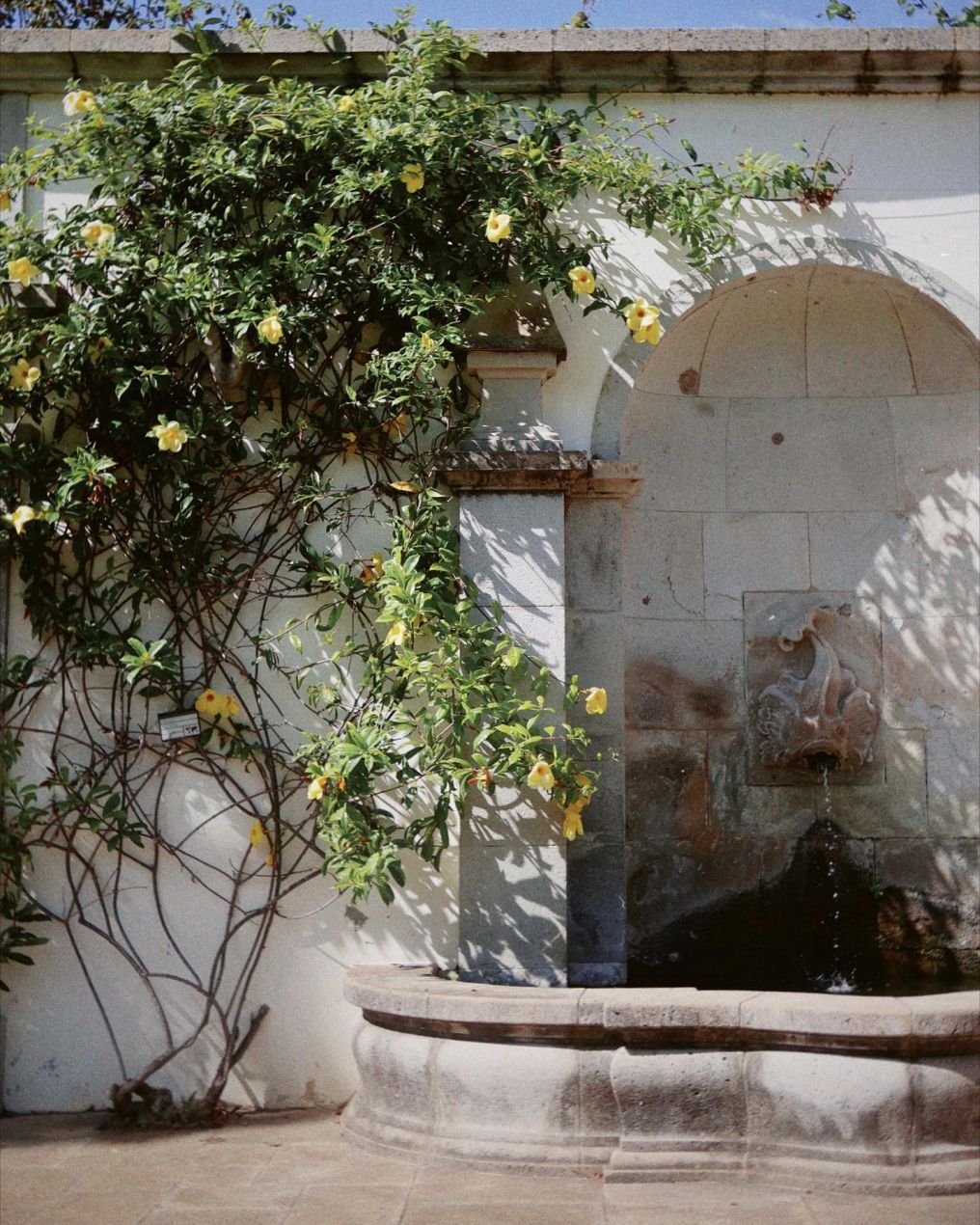 Quinta da Casa Branca Venue photo
