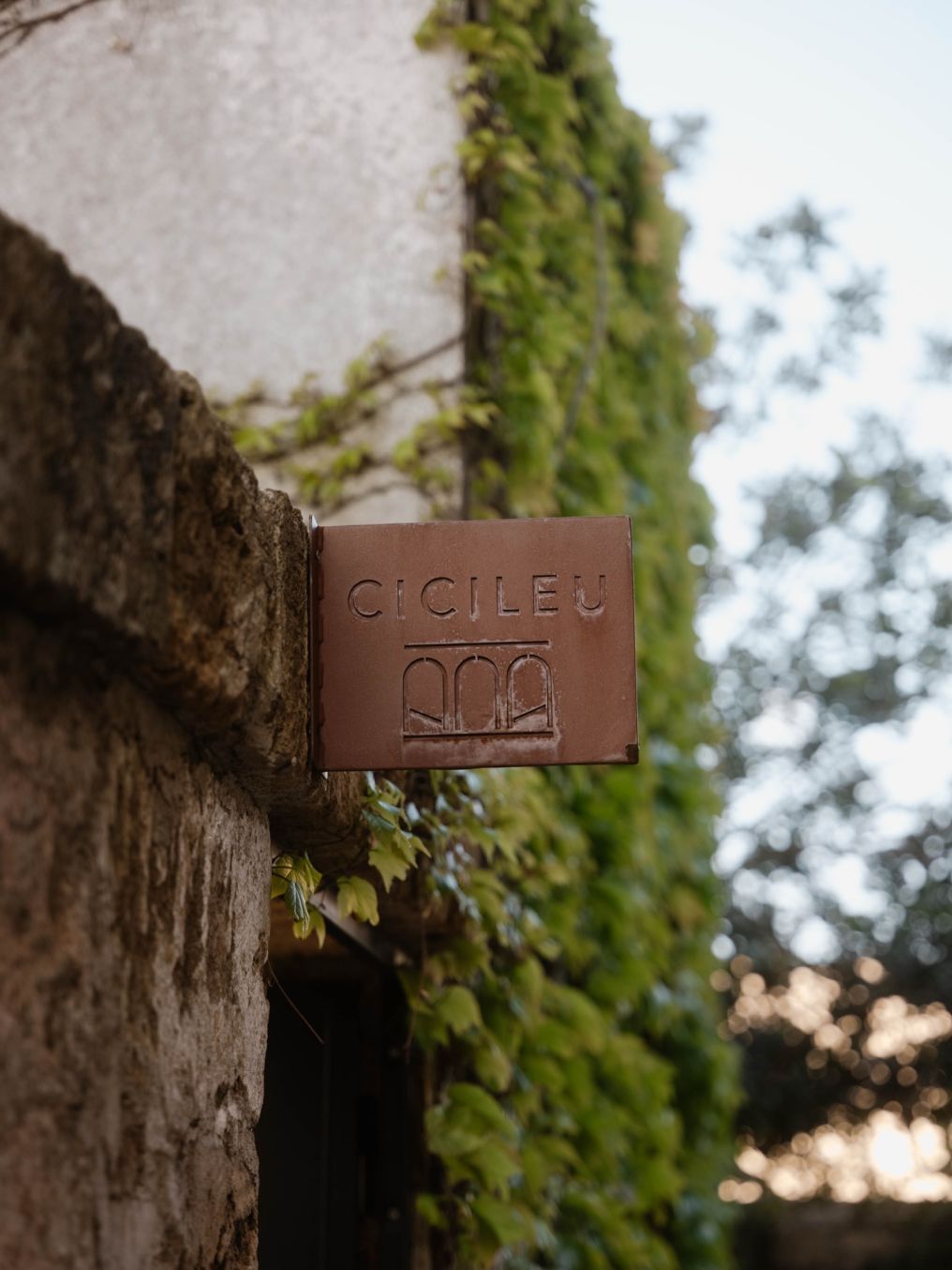 Palazzo Daniele Venue photo