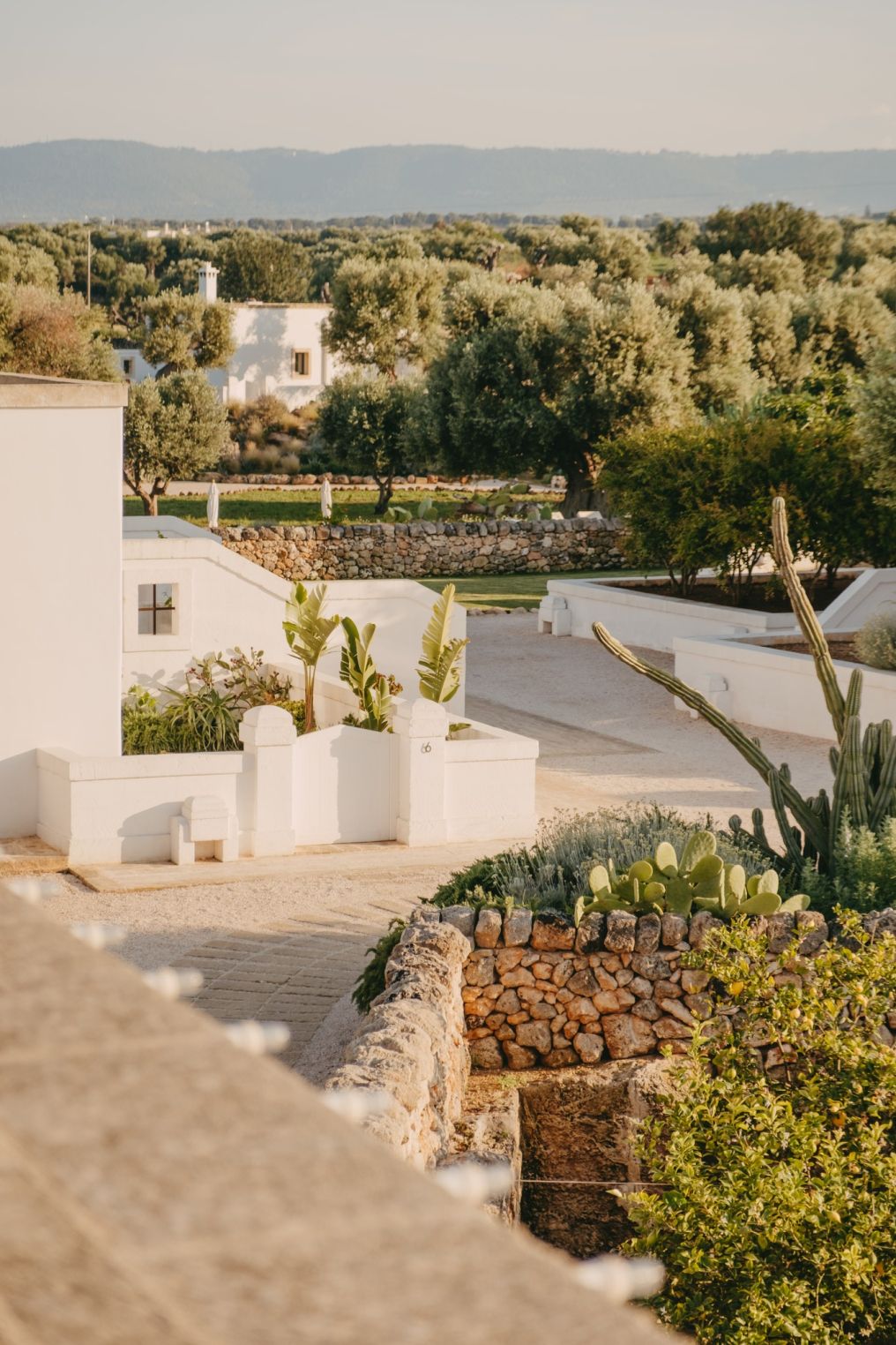 Masseria Calderisi Venue photo